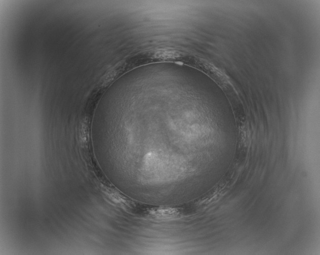 X0000072930517200608041219