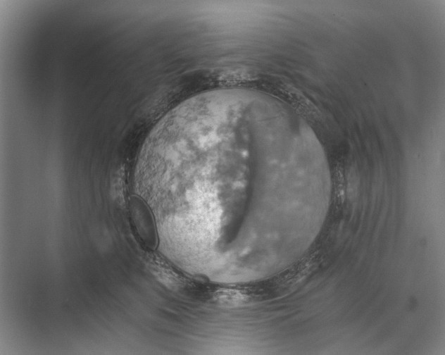 X0000072930519200608041219