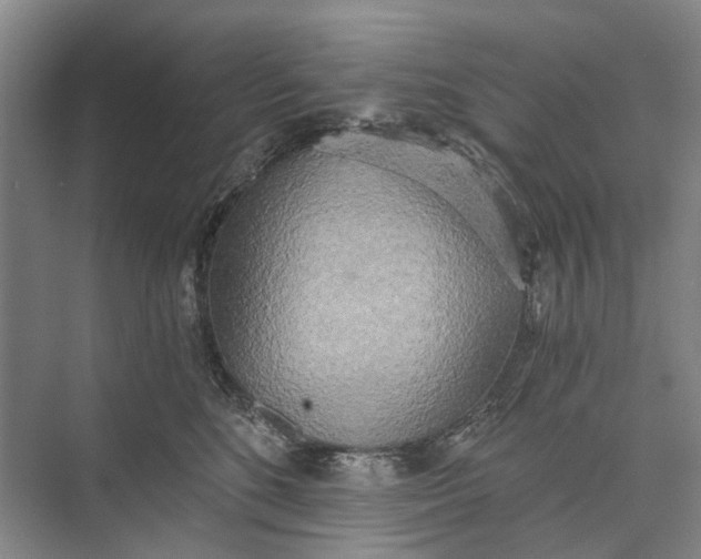 X0000072930520200608041219