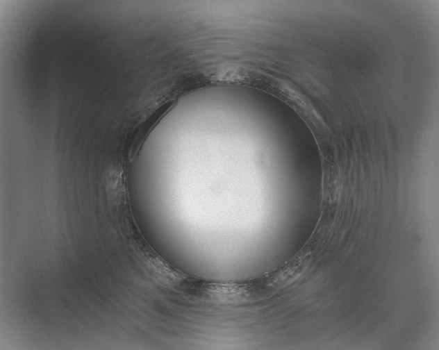 X0000072930521200608041219