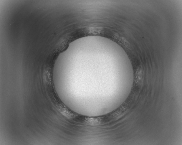 X0000072930522200608041219