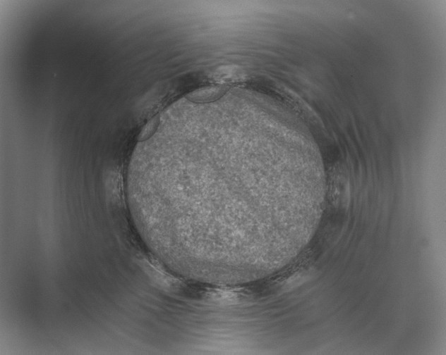 X0000072930523200608041219