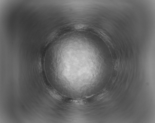 X0000072930524200608041219