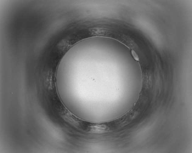 X0000072930525200608041219