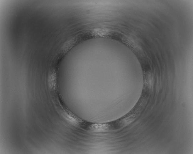 X0000072930526200608041219