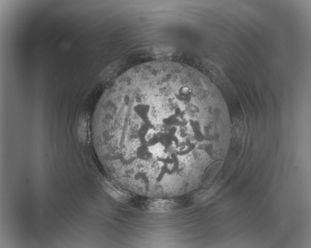 X0000072930527200608041219