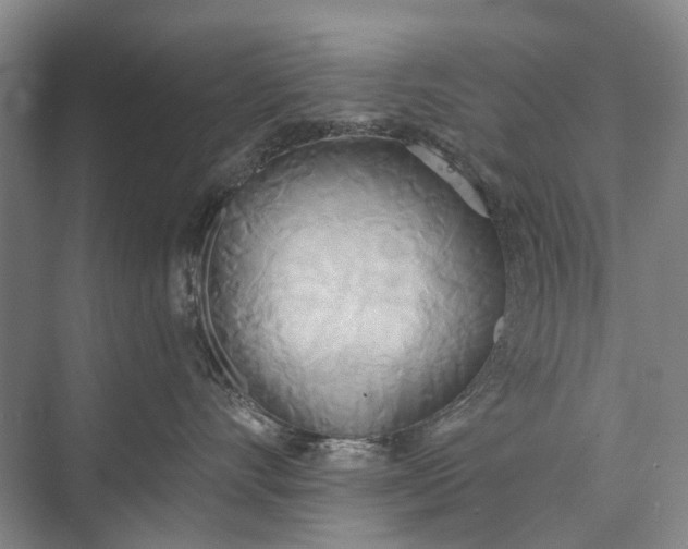 X0000072930528200608041219