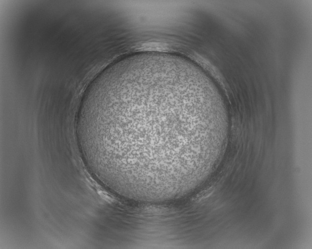 X0000072930529200608041218