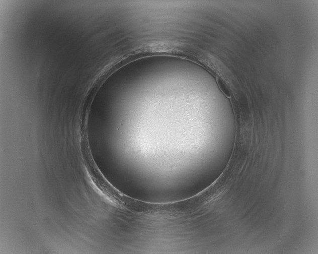 X0000072930530200608041218