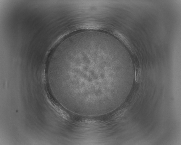 X0000072930531200608041218