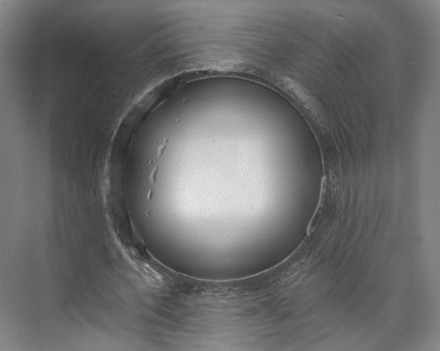 X0000072930532200608041218