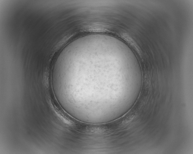 X0000072930533200608041218