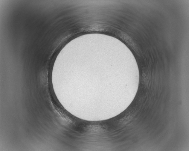 X0000072930534200608041218