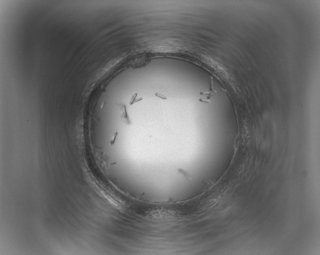 X0000072930535200608041218