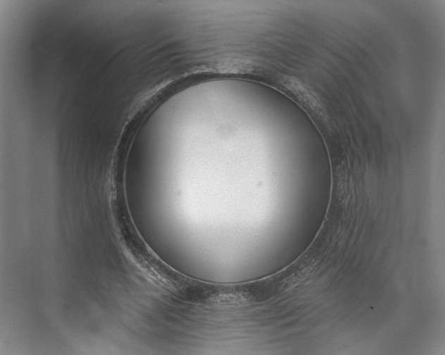 X0000072930536200608041218