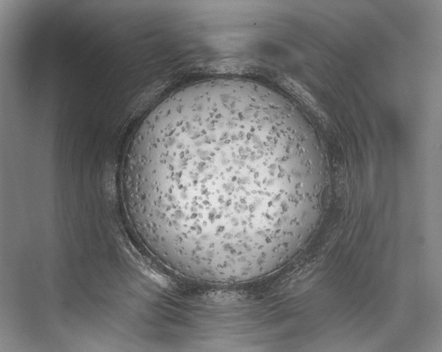 X0000072930537200608041218