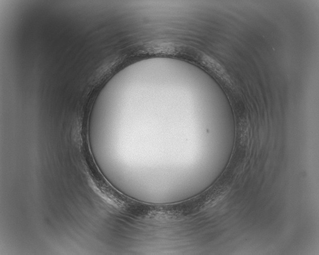 X0000072930538200608041218