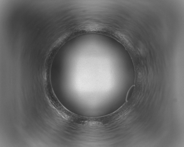 X0000072930539200608041218