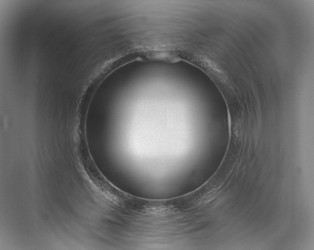 X0000072930540200608041218