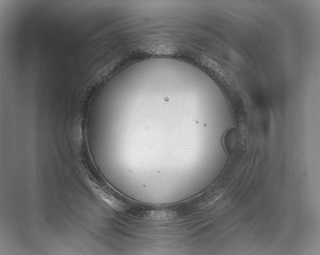 X0000072930541200608041218