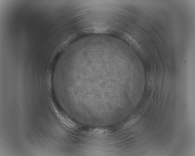 X0000072930542200608041218