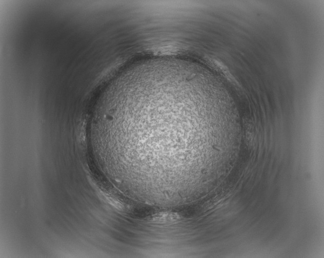 X0000072930543200608041218