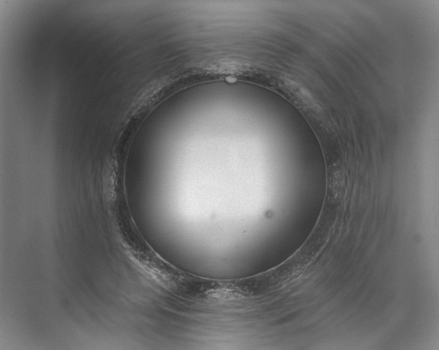 X0000072930544200608041219