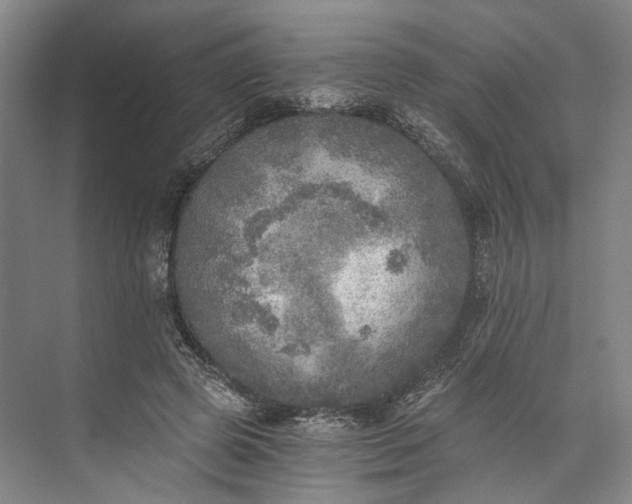 X0000072930545200608041219