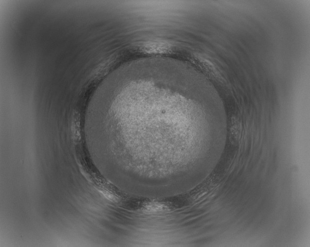 X0000072930547200608041219