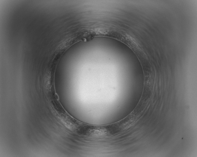 X0000072930548200608041219