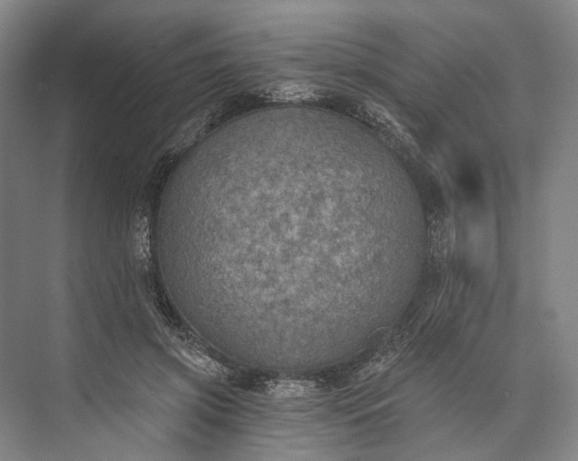 X0000072930549200608041219