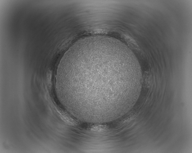 X0000072930550200608041219