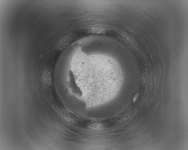 X0000072930551200608041219