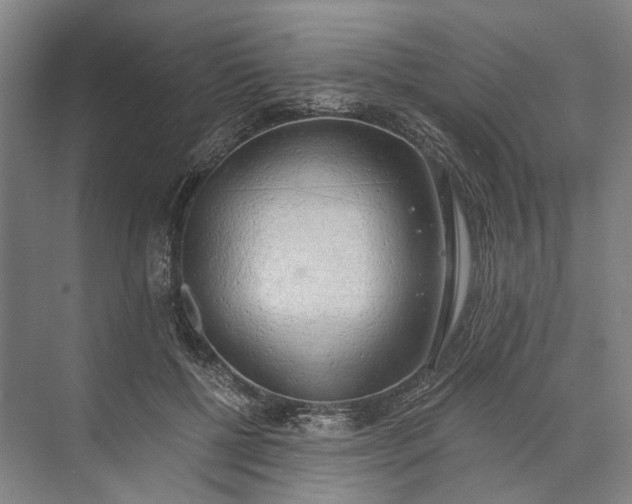 X0000072930552200608041219