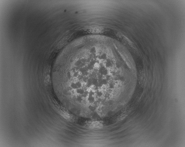 X0000072930553200608041219