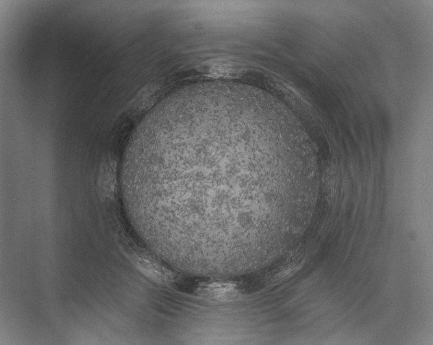 X0000072930554200608041219