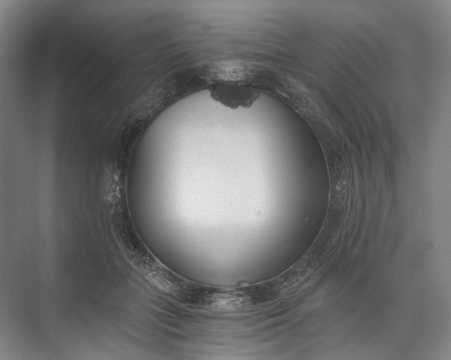 X0000072930555200608041219