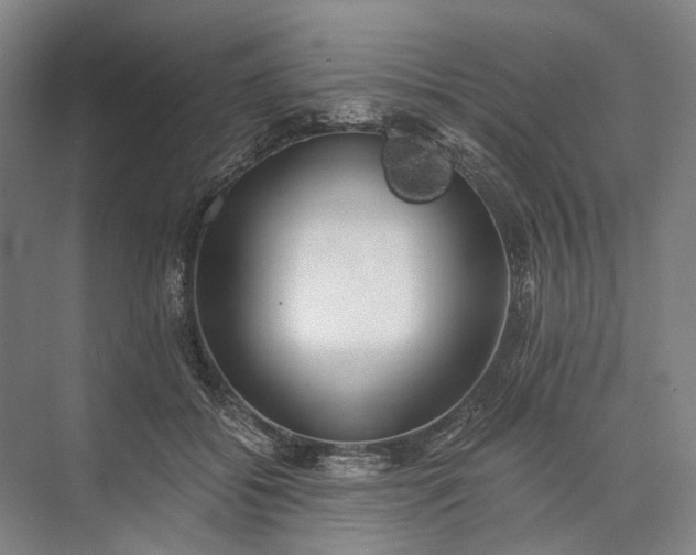 X0000072930556200608041219