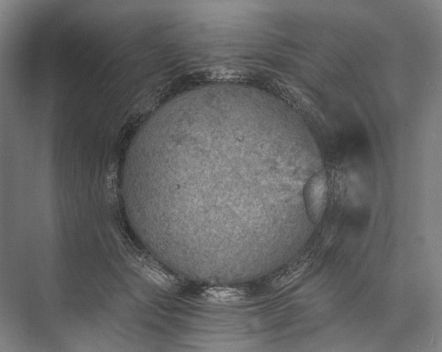 X0000072930557200608041219