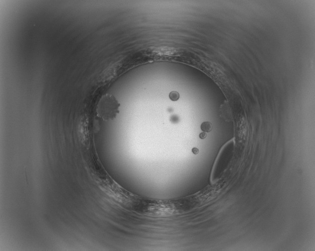 X0000072930559200608041219