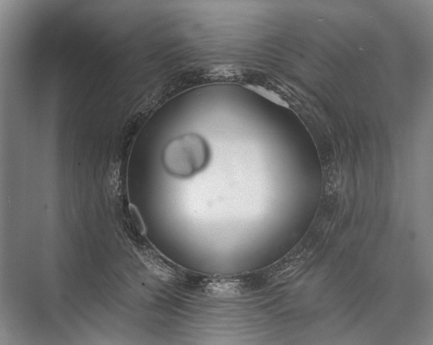 X0000072930560200608041219