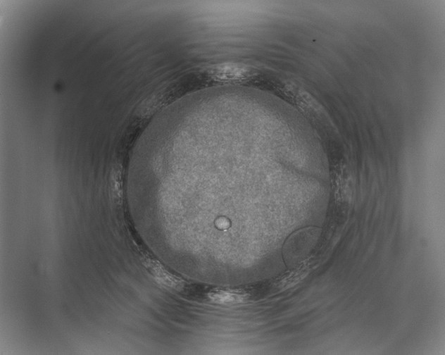 X0000072930561200608041219