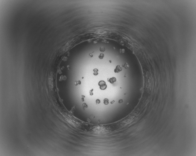 X0000072930562200608041219