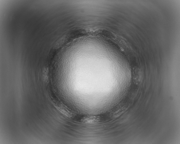 X0000072930563200608041219