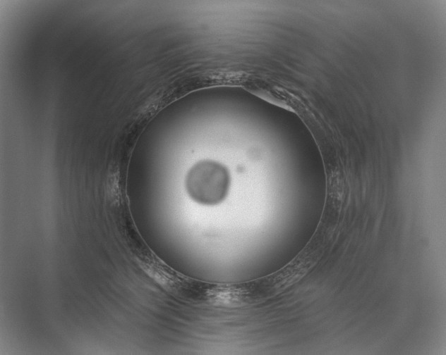 X0000072930564200608041219