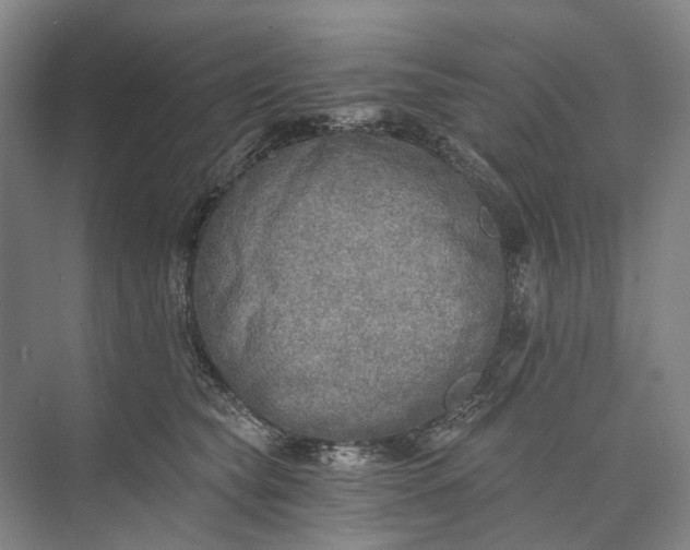 X0000072930565200608041219