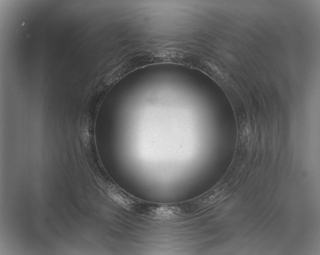 X0000072930566200608041219