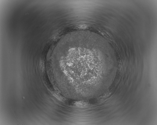 X0000072930568200608041219