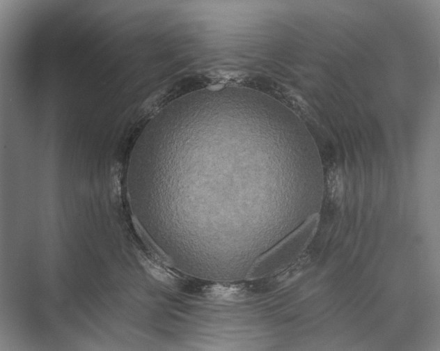 X0000072930570200608041219