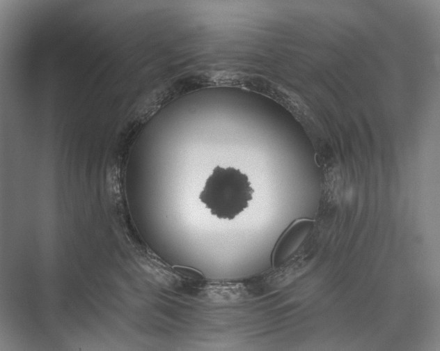 X0000072930571200608041219